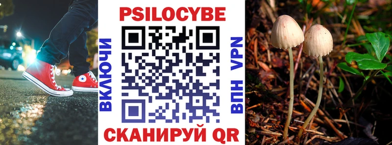 наркотики  Бирюч  Псилоцибиновые грибы мицелий 